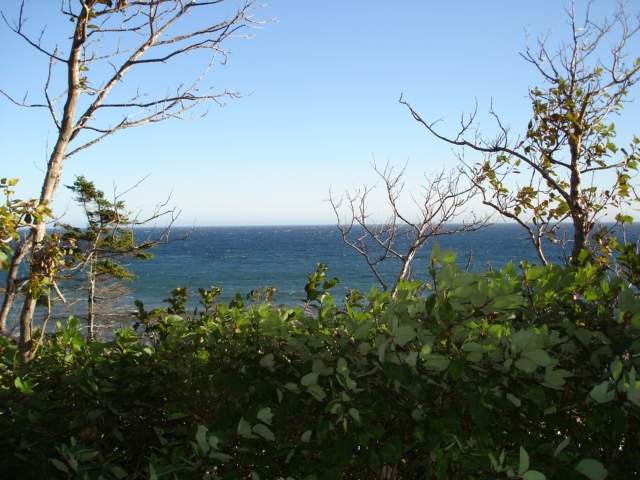 gaspesie108.jpg