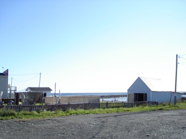 gaspesie113.jpg