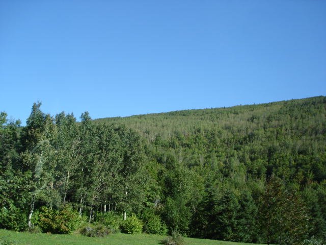 gaspesie132.jpg