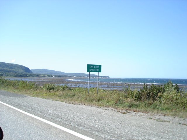 gaspesie196.jpg